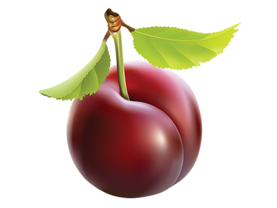 Plum Gold Listing